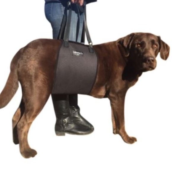 Labra Canine Support Sling - Picture 2 of 7